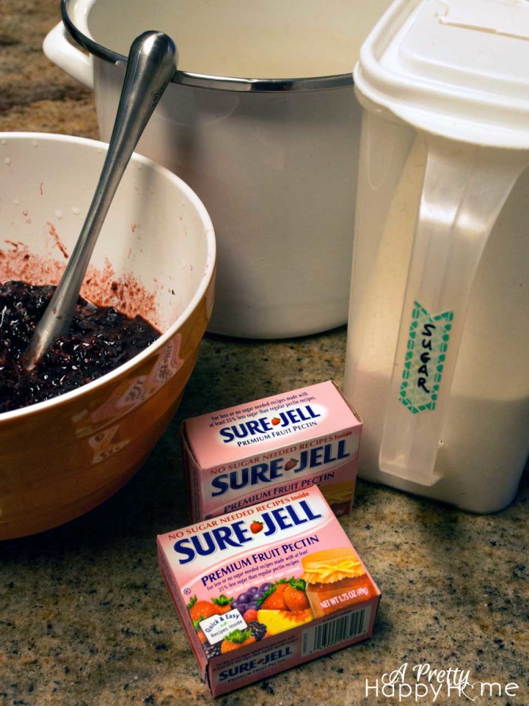 Blackberry Freezer Jam using Frozen Berries A Pretty Happy Home