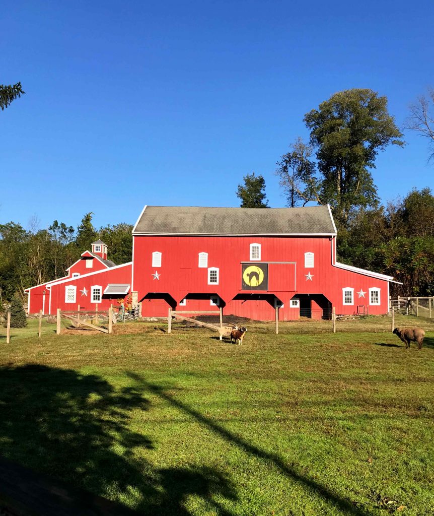 Halloween in a Small Rural Area A Pretty Happy Home