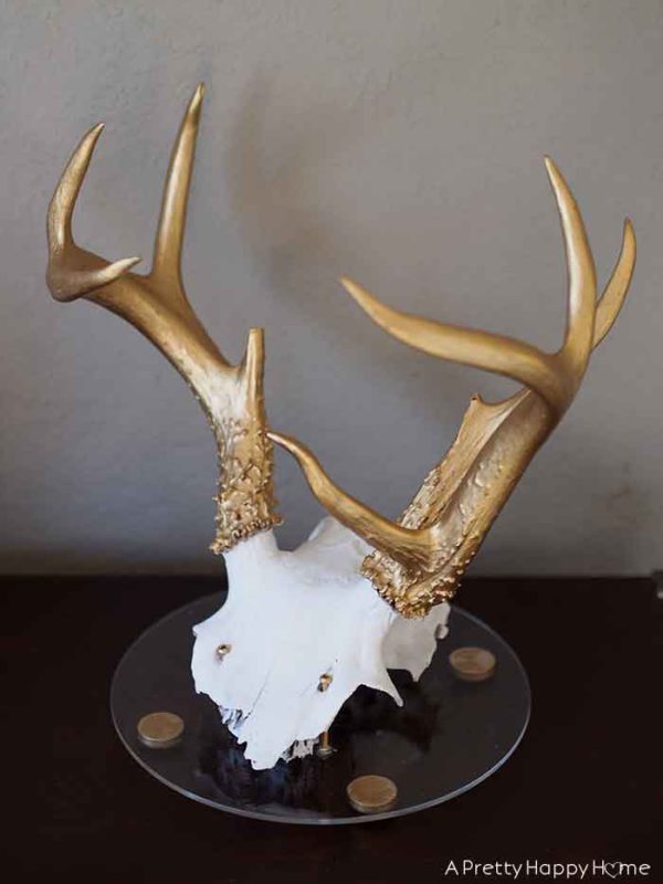 How to Mount Antlers on an Acrylic Base A Pretty Happy Home