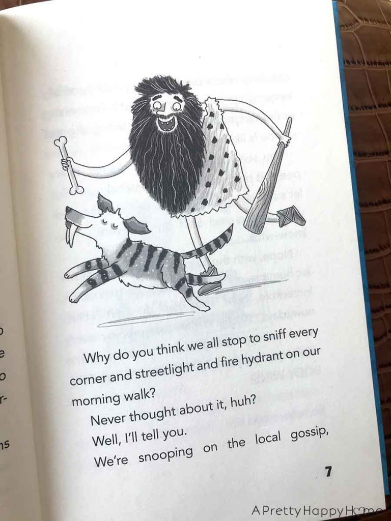 Dog Diaries by James Patterson A Pretty Happy Home