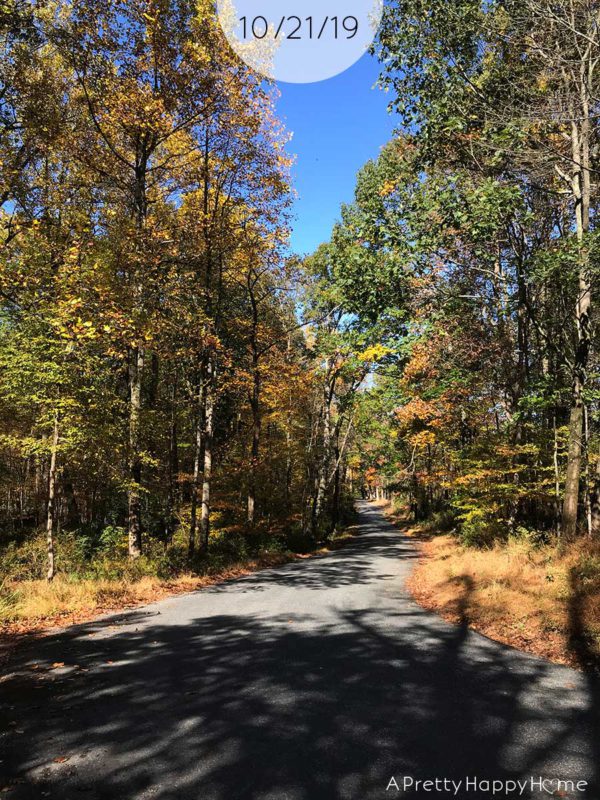 Fall Colors in New Jersey A Pretty Happy Home