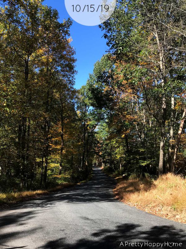 Fall Colors in New Jersey A Pretty Happy Home