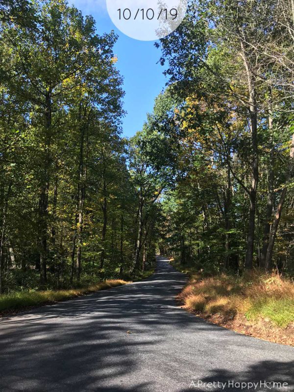 Fall Colors in New Jersey A Pretty Happy Home
