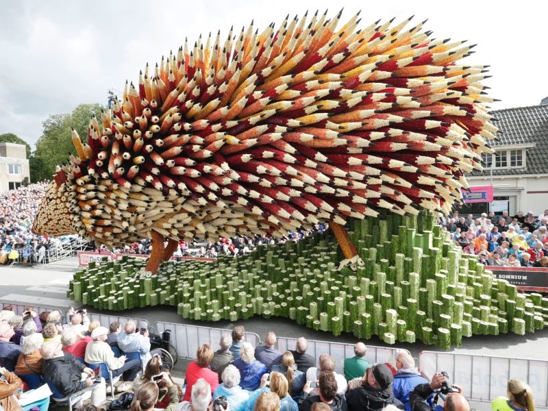 parade in the netherlands photo by corso zundert on the happy list