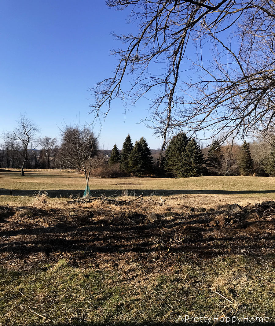 winter yard clean up with gorilla cart