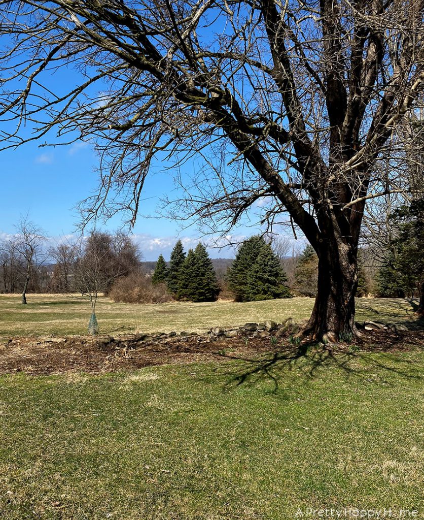 winter yard clean up with gorilla cart