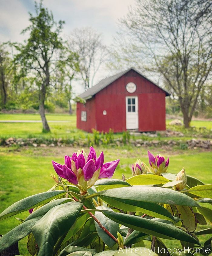 colonial farmhouse barn spring on the happy list