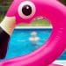 flamingo pool float summer bucket list: covid-19 edition