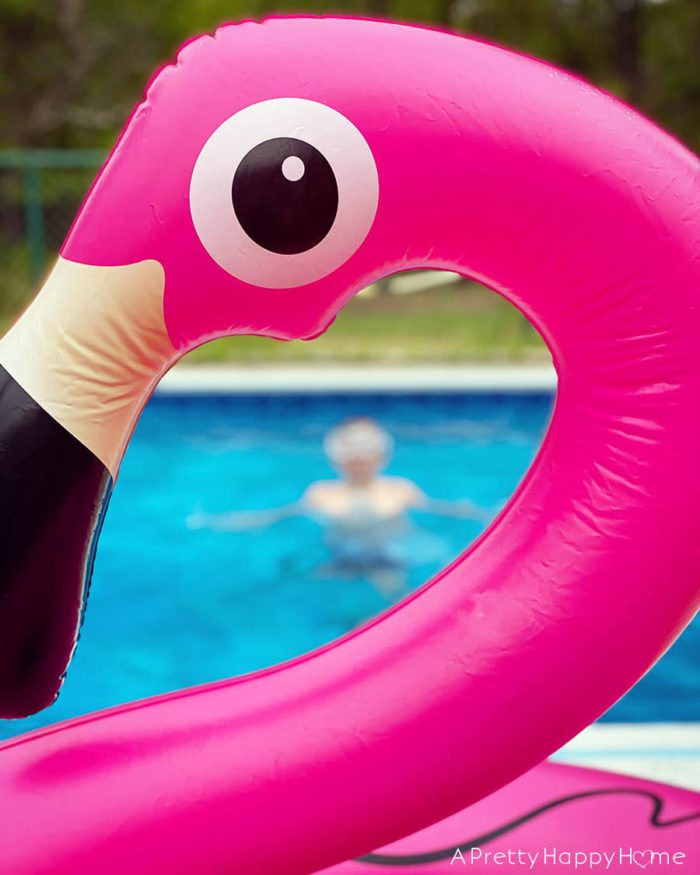 flamingo pool float summer bucket list: covid-19 edition