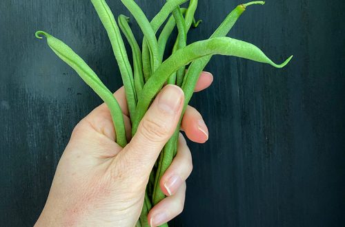 green beans from garden summer bucket list: covid-19 edition