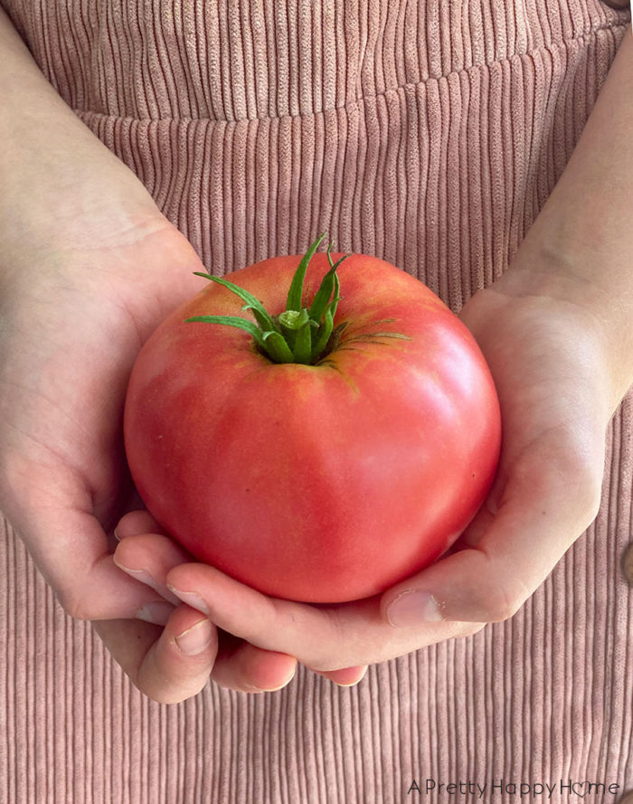 two hands holding a tomato on the happy list