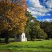 tiny house in fall on the happy list