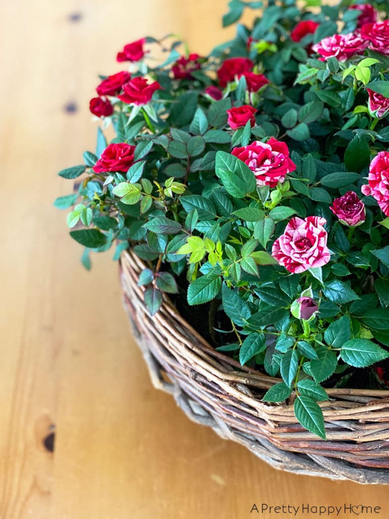 flower basket centerpiece