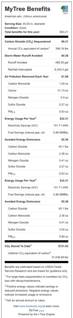 tree benefit calculator