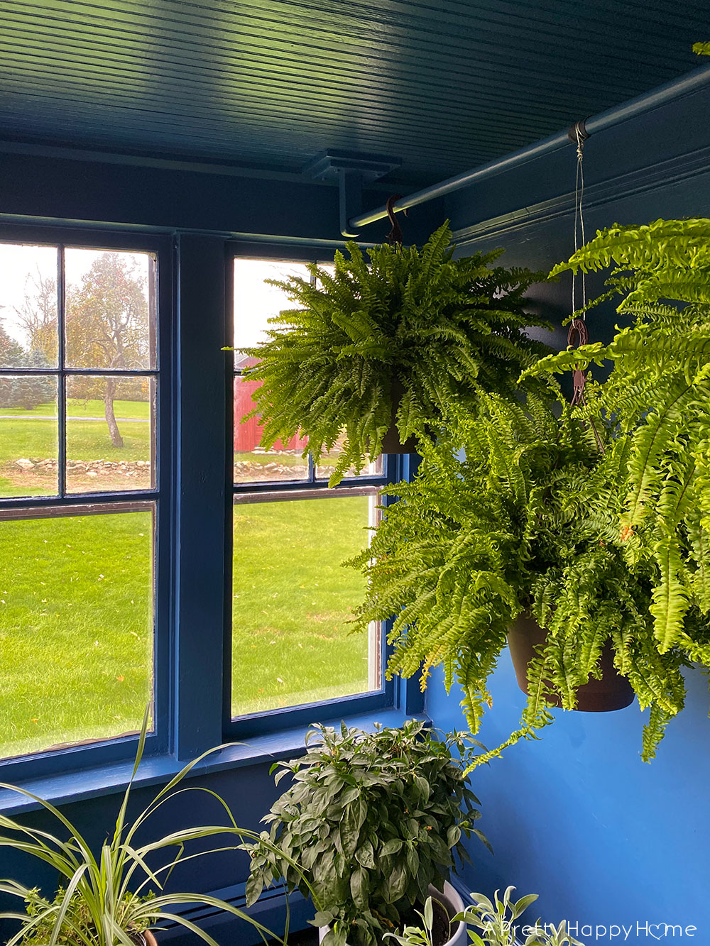 DIY Plant Hanging Rod Secured to the Ceiling A Pretty Happy Home