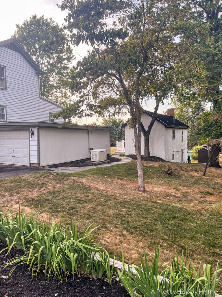 How Our NJ Landscaping Survived A Dry Summer without irrigation