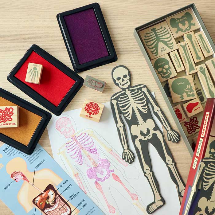 kikkerland anatomy stamp set on the happy list