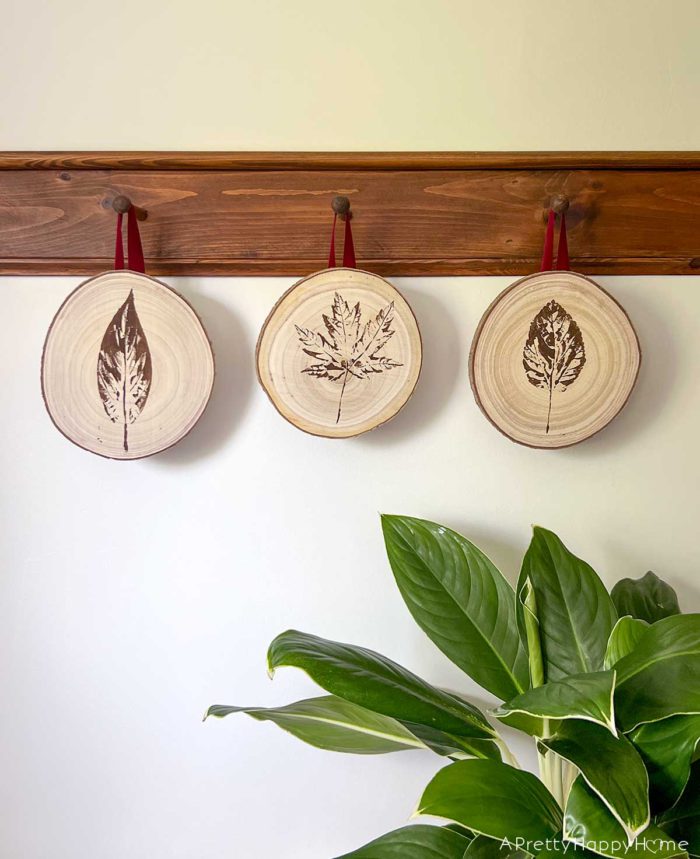 three wood rounds hanging from a wood peg rail. the wood rounds are stamped with a leaf. A green plant is in the lower right corner.