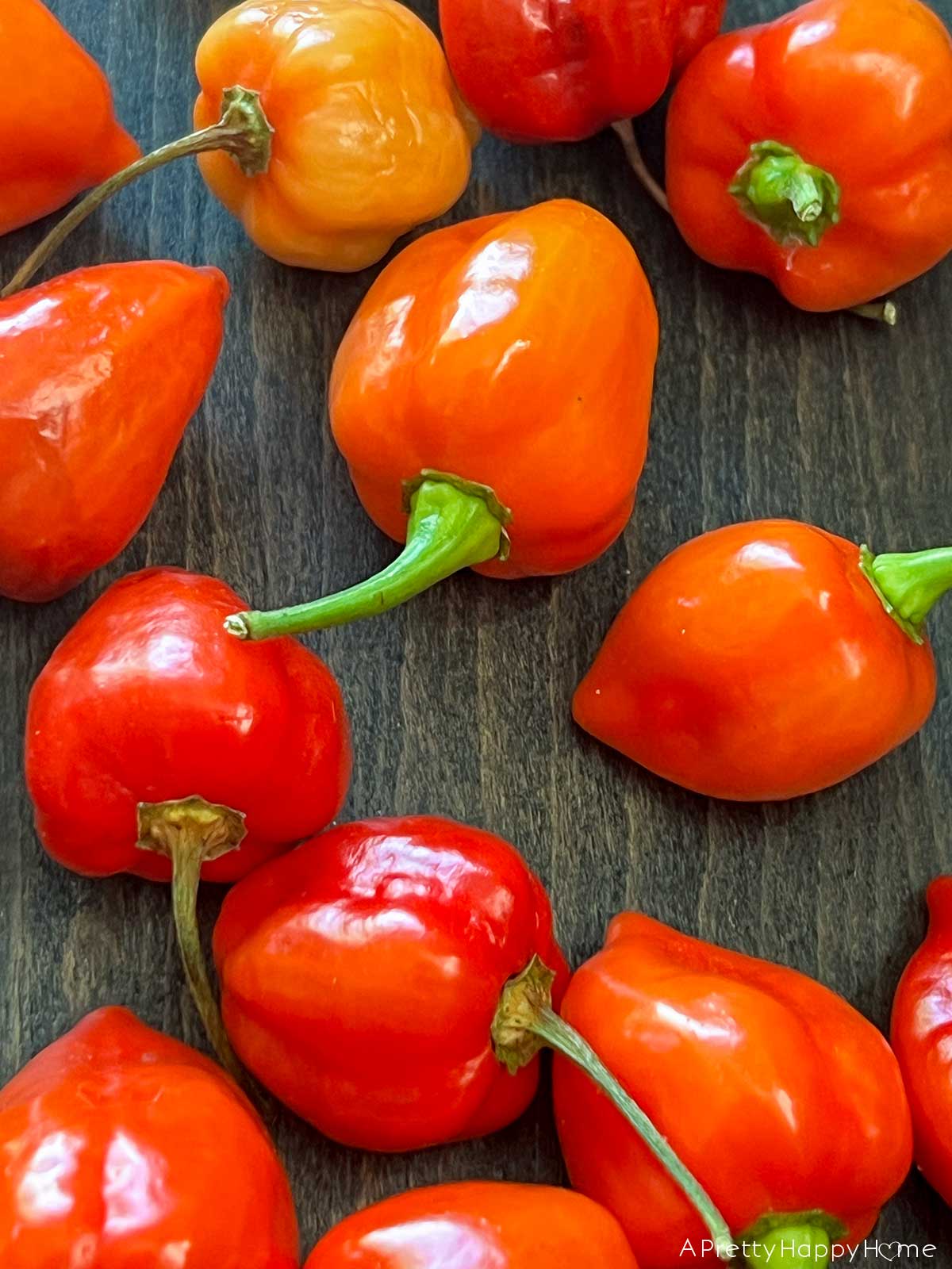 Safety Tips For Making Homemade Hot Sauce A Pretty Happy Home