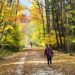 trail in new jersey with fall leaves on the happy list