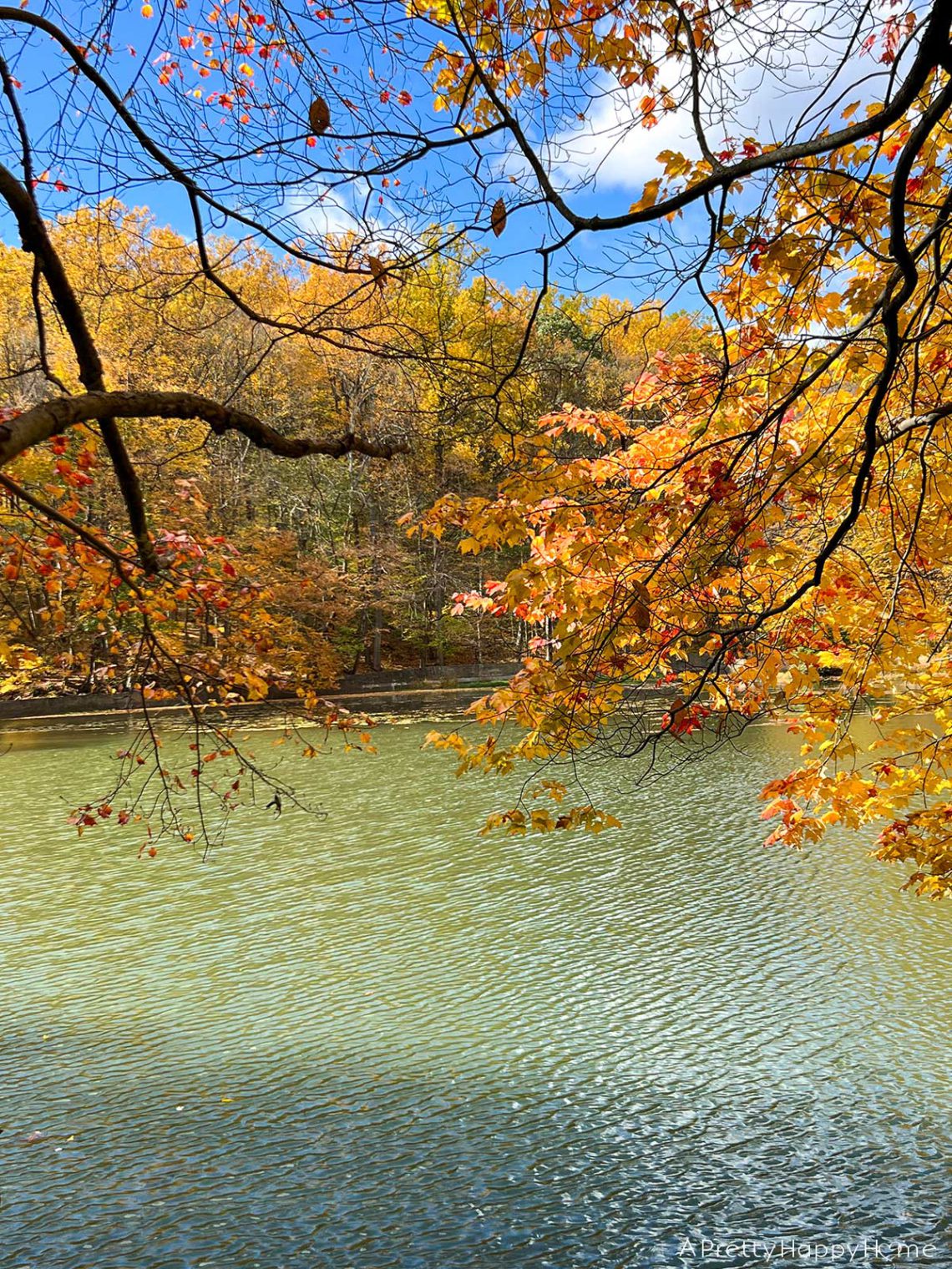 roaring rock park new jersey on the happy list
