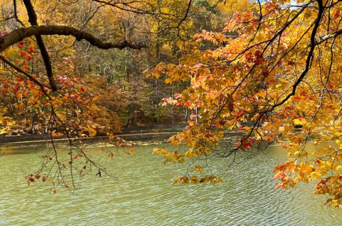 roaring rock park new jersey on the happy list