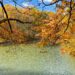 roaring rock park new jersey on the happy list