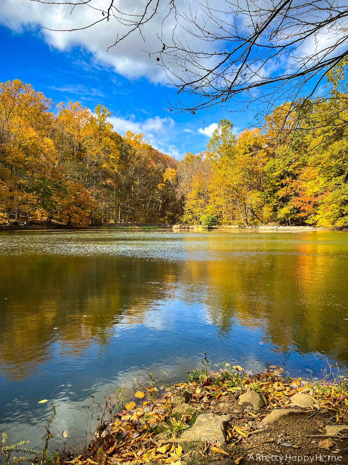 roaring rock park nj in the fall lake surrounded by fall leaves