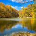 roaring rock park nj in the fall lake surrounded by fall leaves