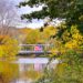 american flag hanging on a bridge over a river in the fall in califon new jersey