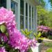 colonial farmhouse may 2025 exterior sunporch with rhododendrons