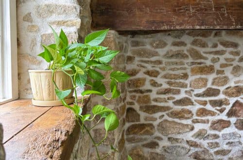 picture of a stone room with a rustic wood windowsill. Sitting on the windowsill is a pathos plant. there is a rustic wood mantel in the background of the photo.