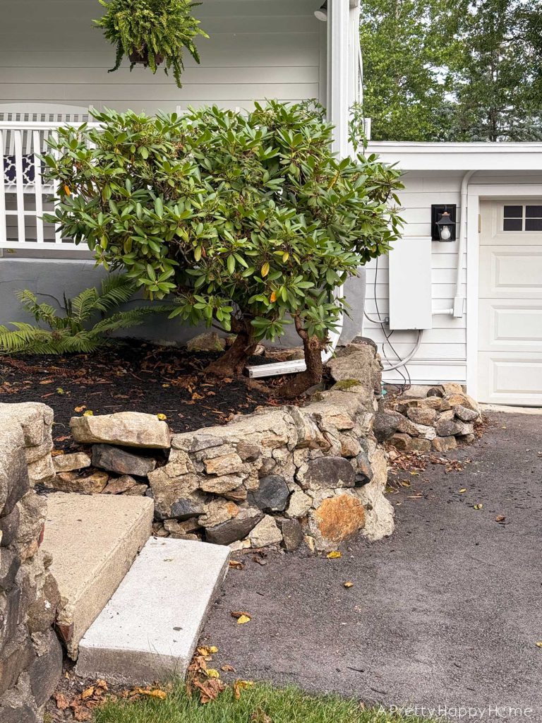BEFORE DIY low curved fieldstone wall the plan to fix it ourselves with lime mortar
