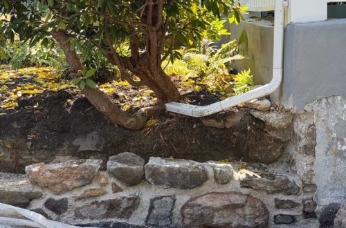 diy curved fieldstone wall with lime mortar and natural fieldstone in progress