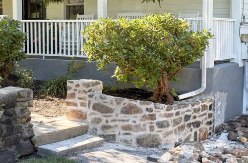 newly rebuilt curved fieldstone wall using lime mortar and natural fieldstone