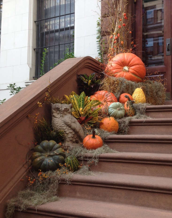 fall porch steps with pumpkins and a concrete owl via gardenista on the happy list