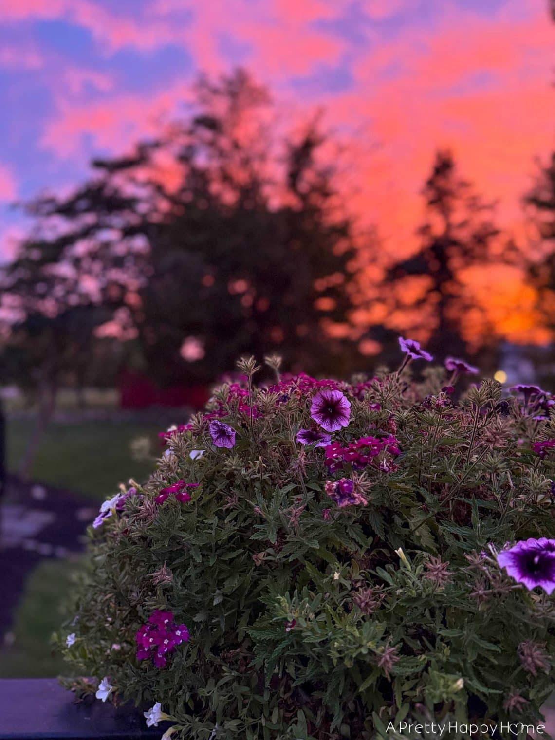 sunset september 2025 on the happy list