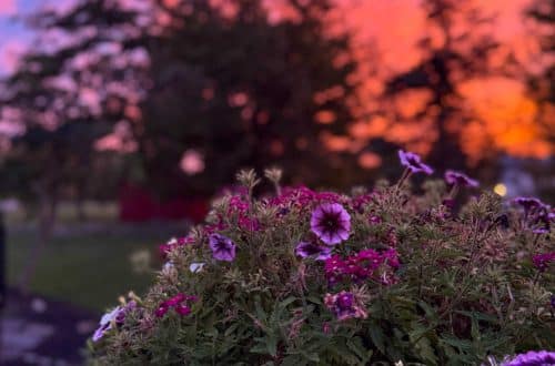 sunset september 2025 on the happy list