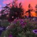 sunset september 2025 on the happy list