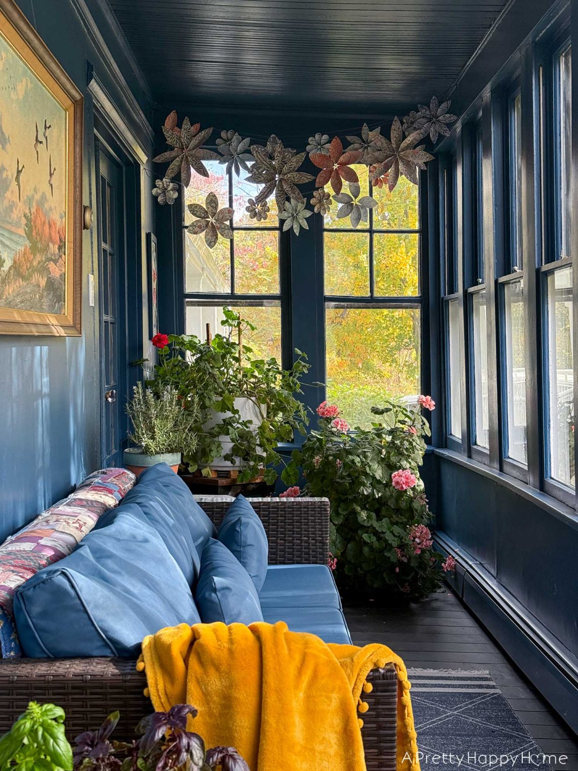 color drenched navy blue sunporch overwintering plants