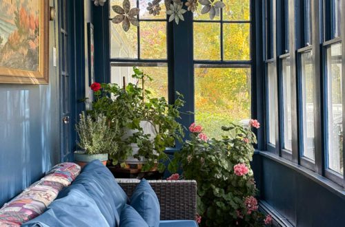 color drenched navy blue sunporch overwintering plants