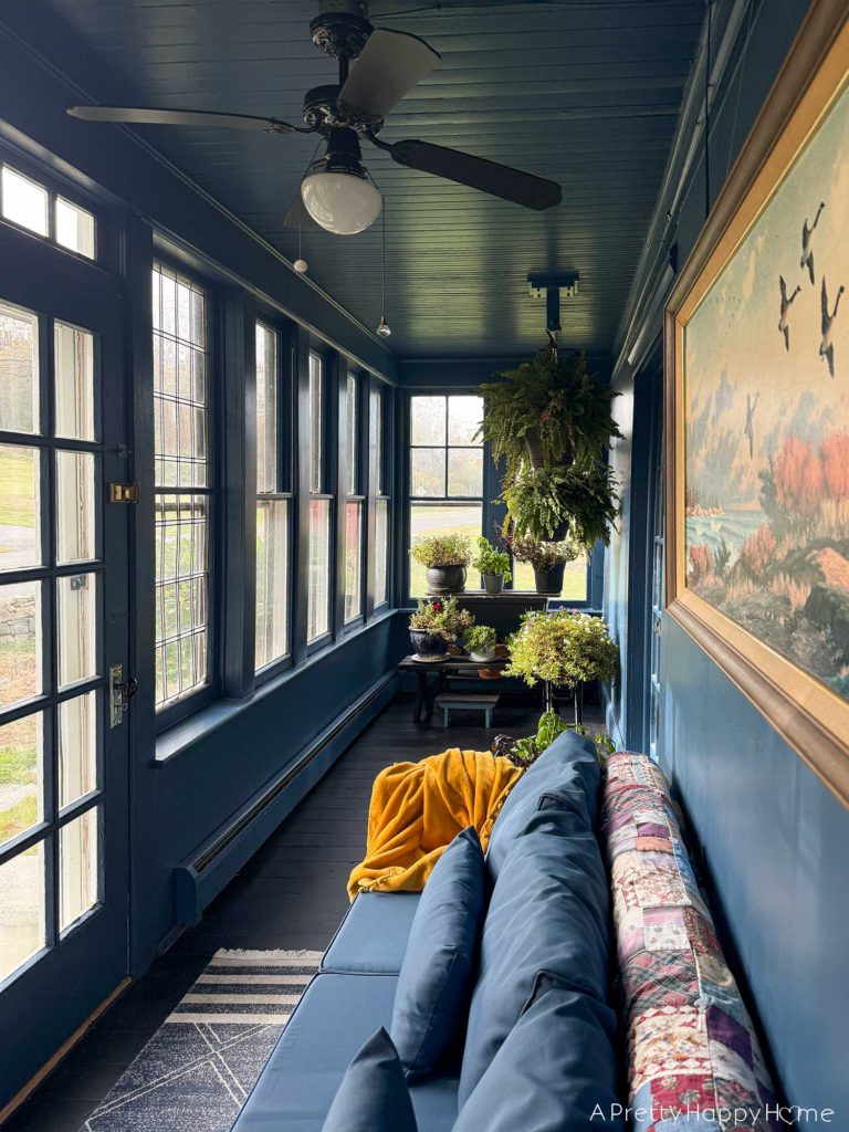 navy blue sunporch overwintering plants including geraniums ferns and petunias