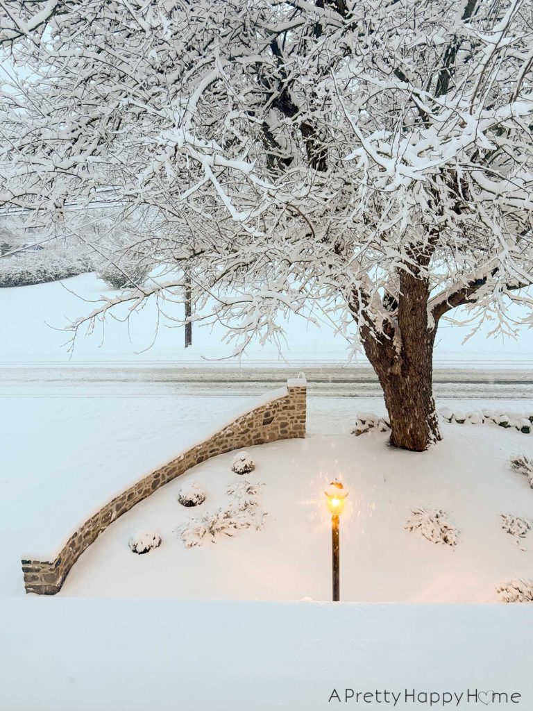 Aerial photo of a snow covered front yard. There is a curved fieldstone wall, a glowing lamp post, and a large elm tree all covered and heavy with snow. The road in front of the front yard looks like it was plowed once, but is still quite packed with snow.