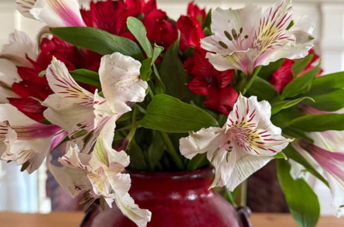 red pottery vase holding red and white flowers sitting on a table with a grapevine heart garland in the background