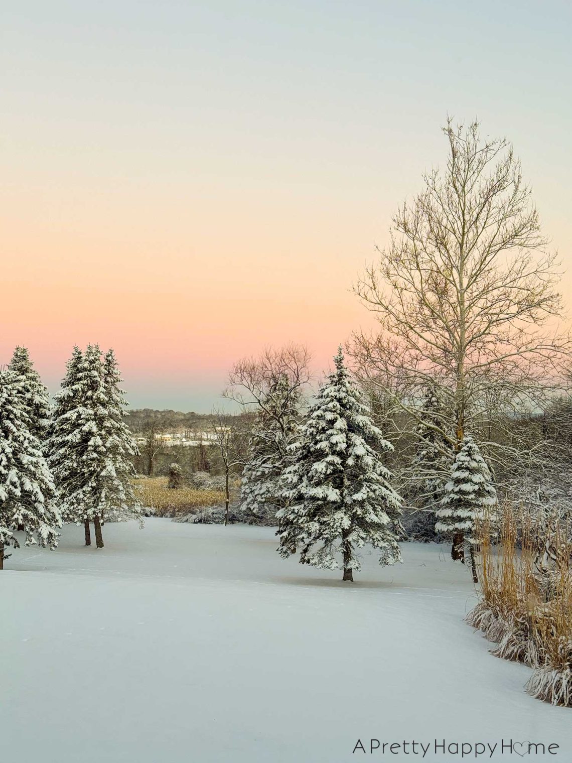 nature scene covered in snow with four smaller fir trees heavy with snow. A leafless sycamore stands as sentry in the back right of the image. The sun is rising, and the sky is painted a pale shade of pink then blue. Shown as the featured image on the happy list.