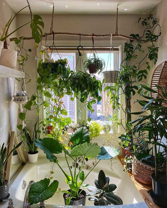 bohome plantry's bathroom tub surrounded by plants. They are even hanging from a branch instead of a rod from the ceiling. Via Hunker.
