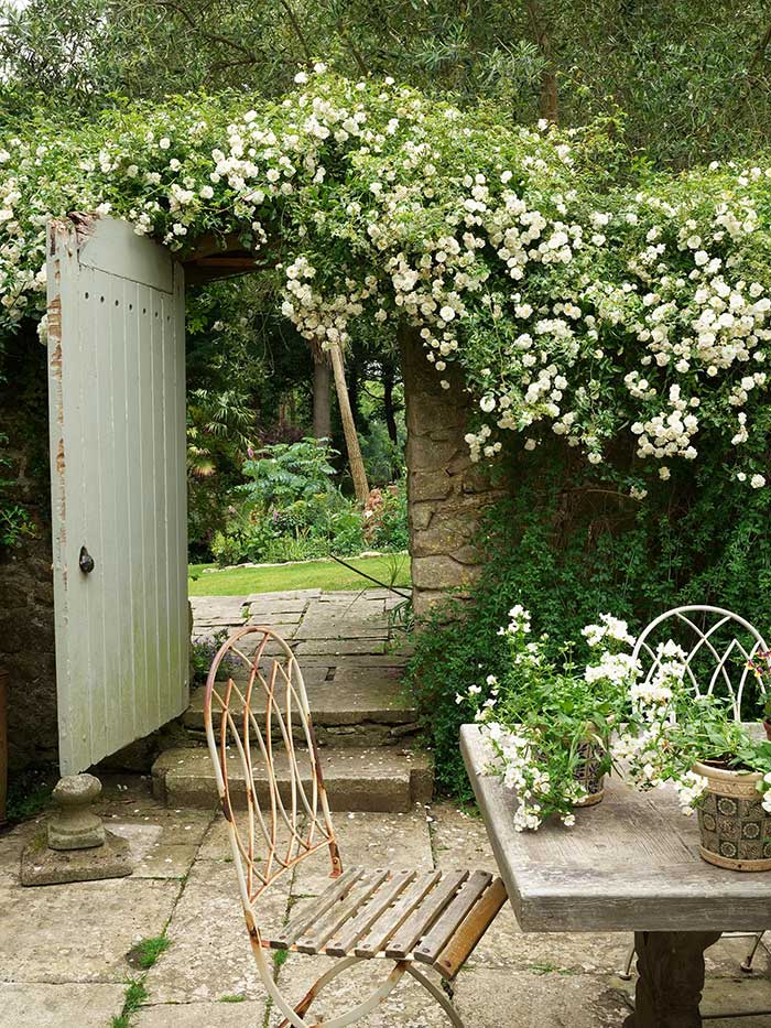 photo by simon upton of house and garden uk of a blooming flower hedge draped over a stone wall with a light green door opening in the middle of the wall with stairs stepping down to a rustic outdoor eating area