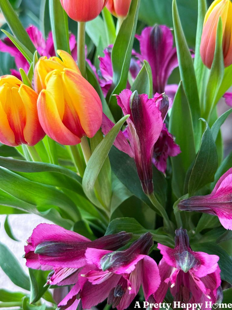 close up photo of yellow and orange tulips surrounded by purple alstroemerias