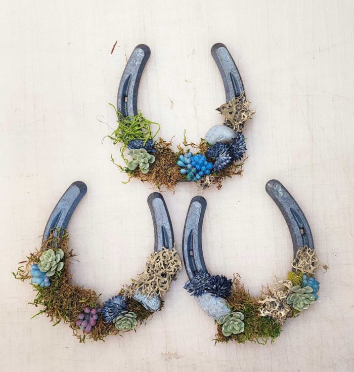 three horseshoes with mini succulents attached to the bottom curve of the horseshoe made by etsy shop 5DLeather