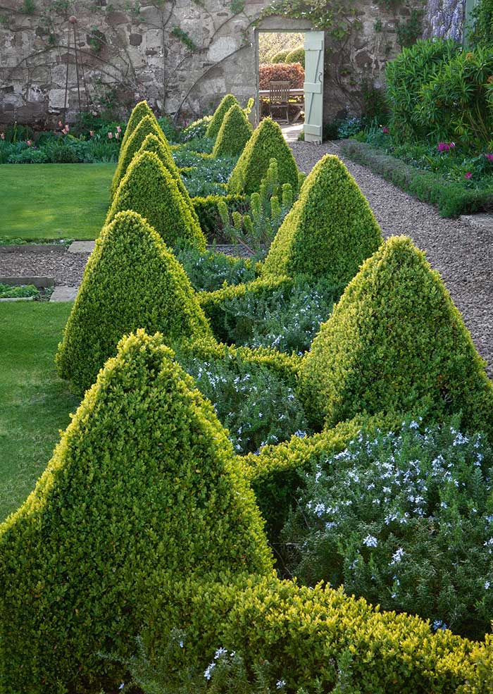 Beech hedges enclose clipped box and Portuguese laurels in a pebble mosaic garden